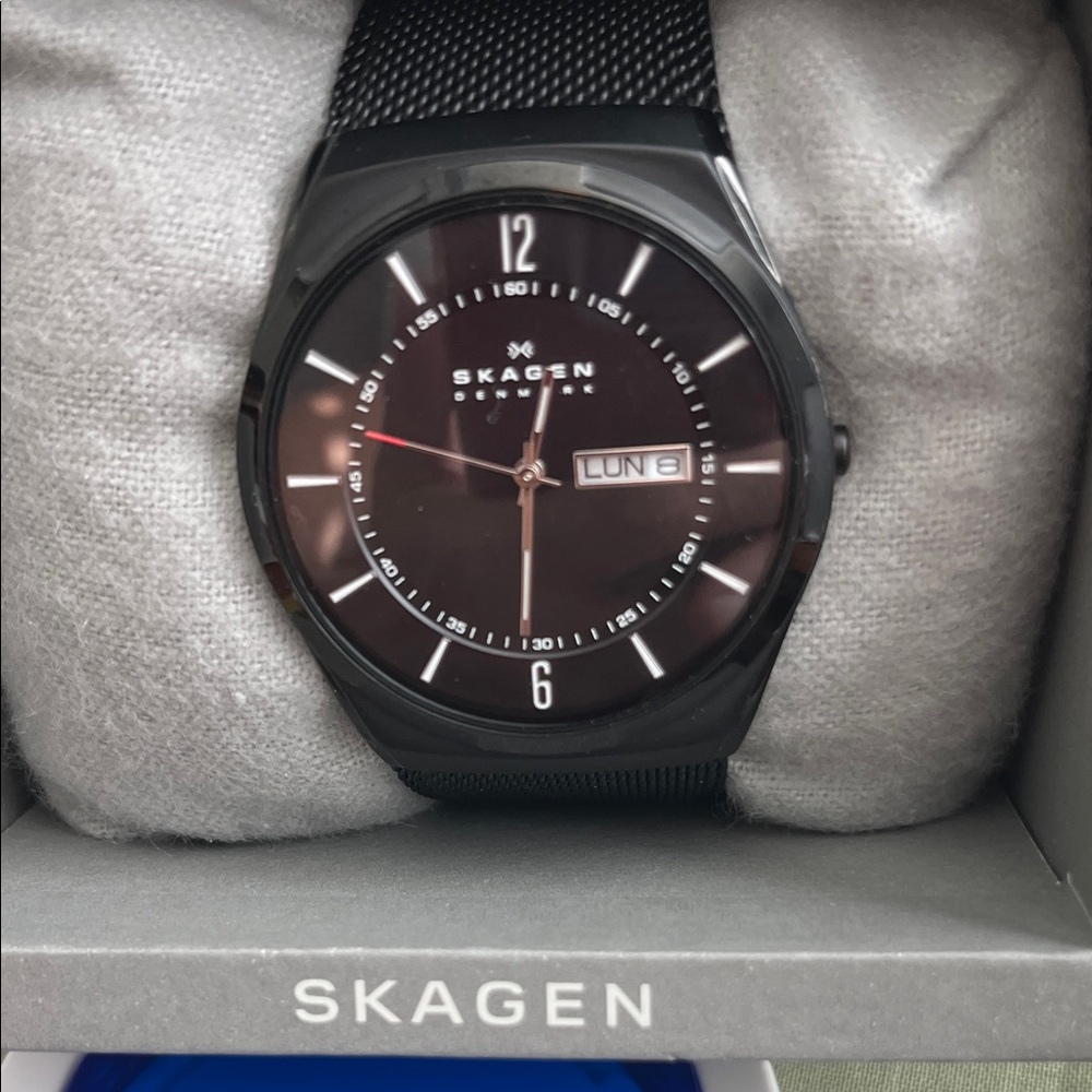 Skagen Black and Silver Watch